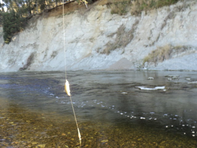 Name:  picture 1347.jpg
Views: 183
Size:  165.0 KB