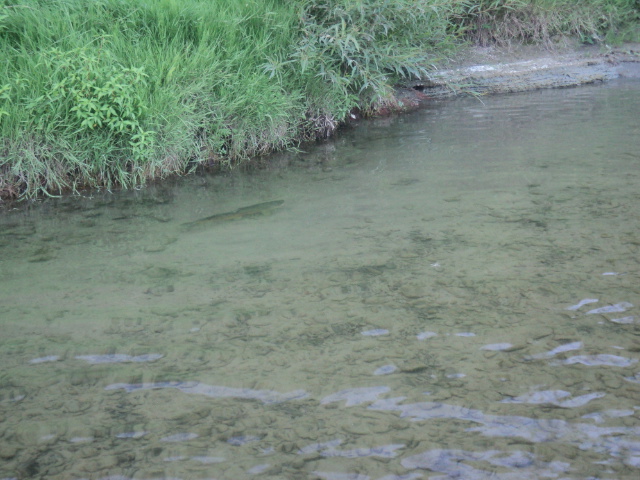 Name:  picture 01 283.jpg
Views: 212
Size:  165.1 KB