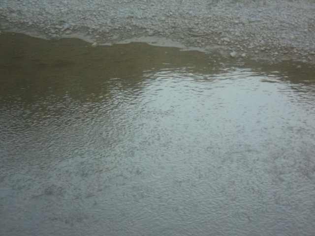 Name:  picture 01 273.jpg
Views: 176
Size:  161.0 KB