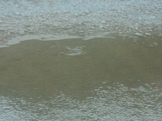 Name:  picture 01 274.jpg
Views: 236
Size:  164.3 KB