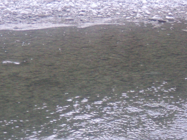 Name:  picture 01 275.jpg
Views: 220
Size:  164.4 KB
