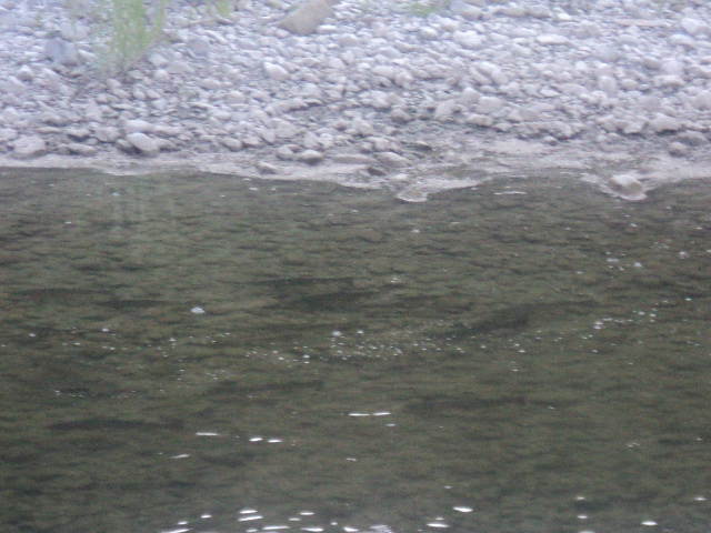Name:  picture 01 277.jpg
Views: 205
Size:  163.8 KB