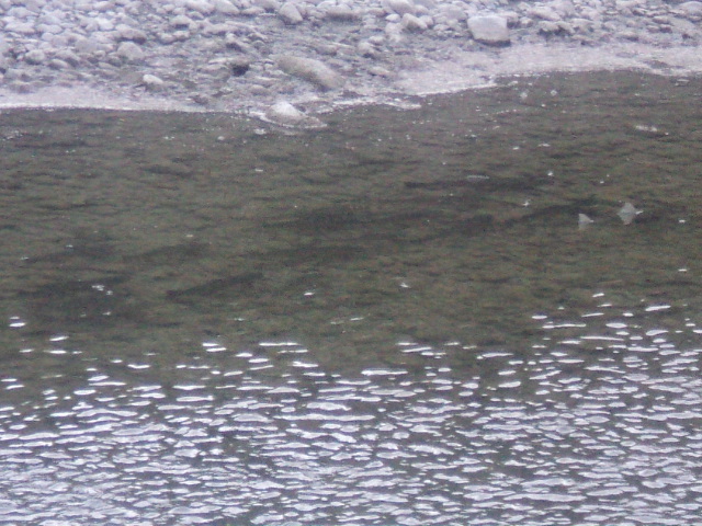 Name:  picture 01 279.jpg
Views: 190
Size:  163.6 KB