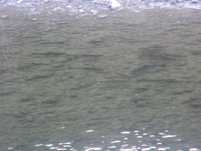 Name:  picture 01 280.jpg
Views: 237
Size:  165.1 KB