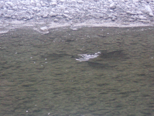 Name:  picture 01 281.jpg
Views: 233
Size:  163.9 KB