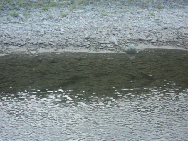Name:  picture 01 282.jpg
Views: 237
Size:  164.9 KB
