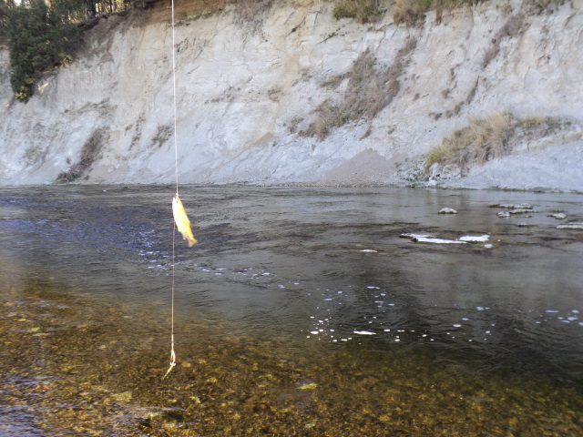 Name:  picture 1346.jpg
Views: 184
Size:  163.3 KB