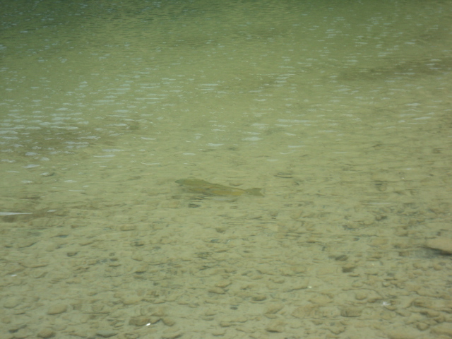 Name:  picture 01 332.jpg
Views: 265
Size:  160.9 KB