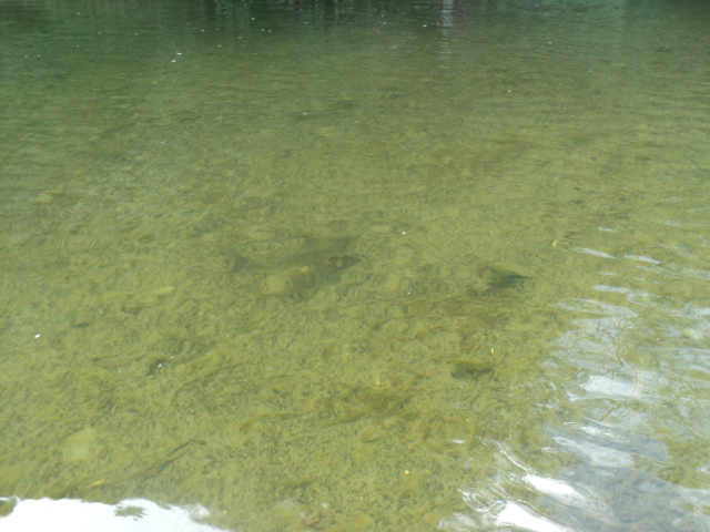 Name:  picture 01 367.jpg
Views: 355
Size:  163.2 KB
