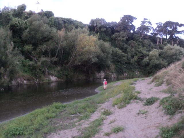 Name:  picture 01 371.jpg
Views: 418
Size:  164.1 KB