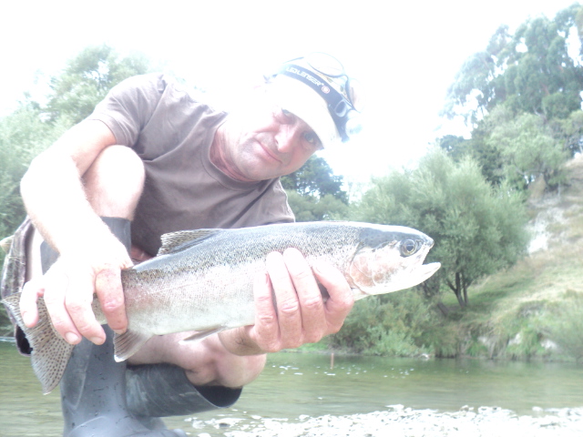 Name:  picture 01 375.jpg
Views: 376
Size:  165.1 KB