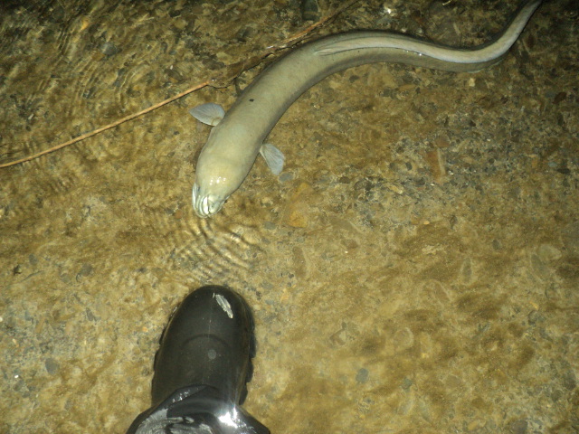 Name:  picture 01 502.jpg
Views: 240
Size:  164.3 KB