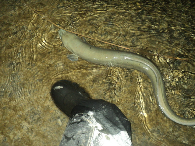 Name:  picture 01 503.jpg
Views: 241
Size:  164.4 KB