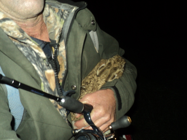 Name:  picture 01 512.jpg
Views: 224
Size:  163.2 KB
