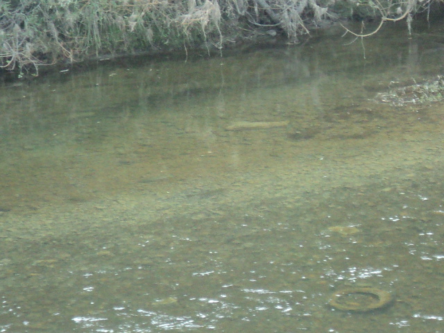 Name:  picture 01 530.jpg
Views: 174
Size:  163.0 KB