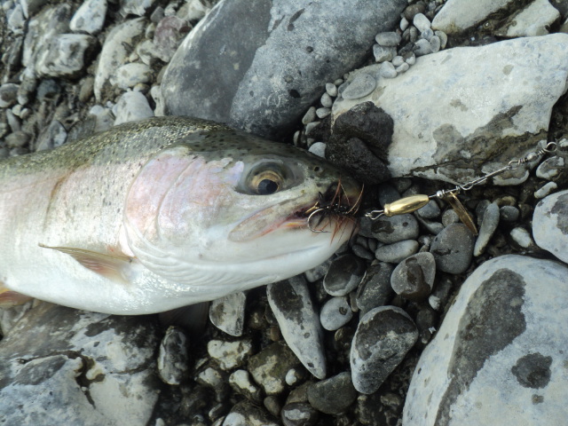 Name:  picture 01 532.jpg
Views: 173
Size:  164.3 KB