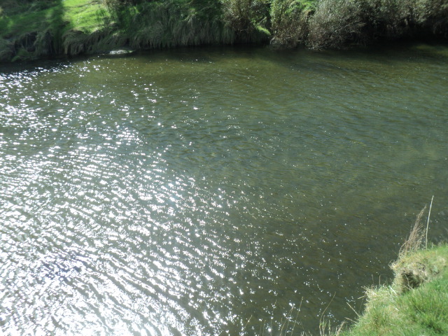 Name:  picture 01 544.jpg
Views: 346
Size:  162.8 KB