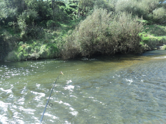 Name:  picture 01 545.jpg
Views: 379
Size:  164.4 KB