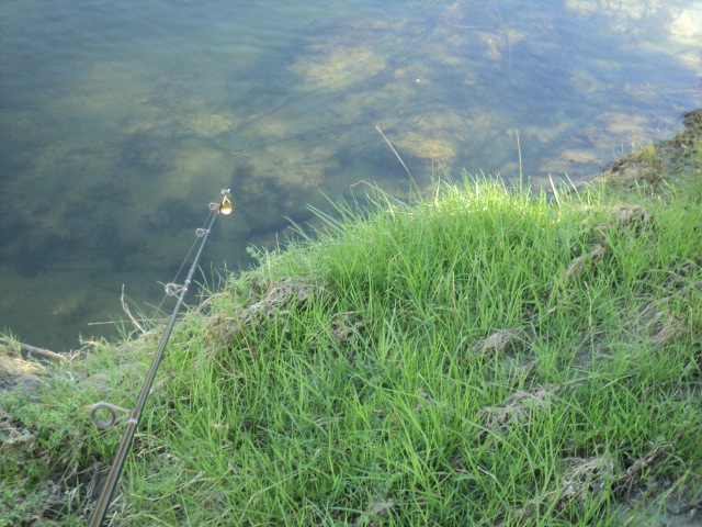 Name:  picture 01 541.jpg
Views: 351
Size:  164.9 KB