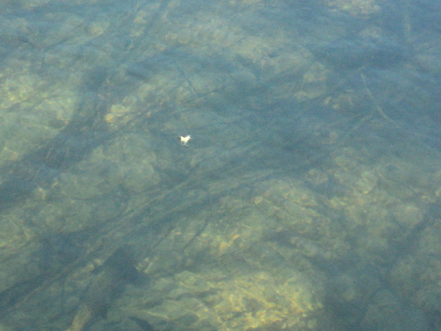 Name:  picture 01 542.jpg
Views: 389
Size:  162.5 KB