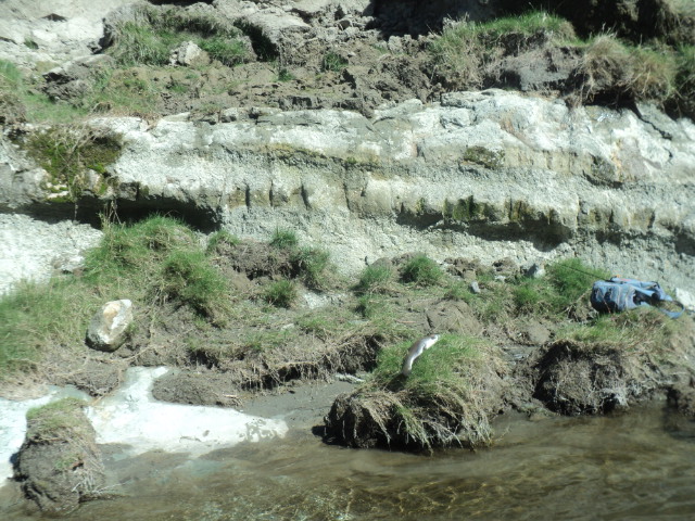 Name:  picture 01 559.jpg
Views: 351
Size:  164.9 KB