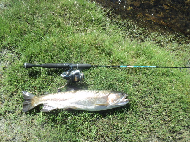 Name:  picture 01 560.jpg
Views: 341
Size:  164.8 KB
