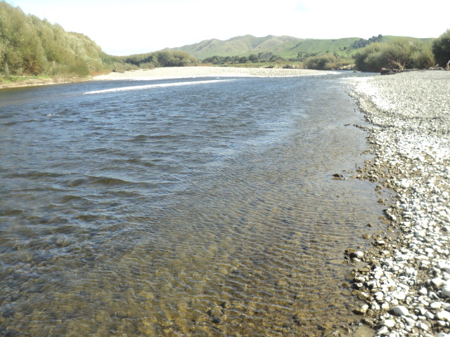 Name:  picture 01 565.jpg
Views: 316
Size:  165.3 KB