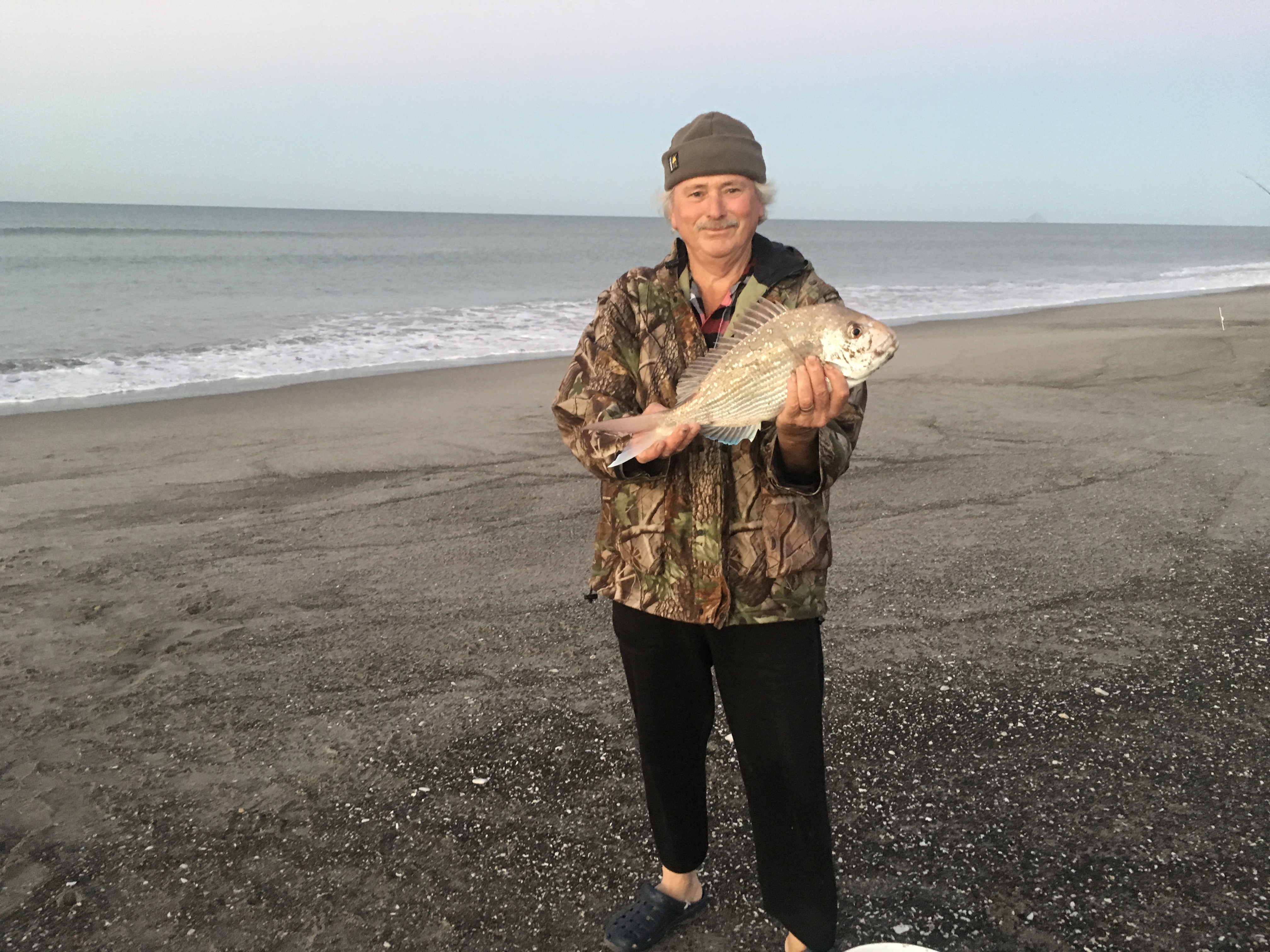Name:  Snapper of Pukehina .JPG
Views: 1851
Size:  2.25 MB