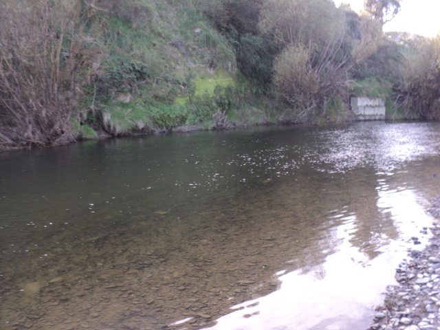 Name:  picture 01 738.jpg
Views: 235
Size:  164.6 KB