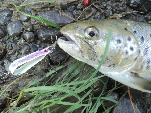 Name:  picture 01 796.jpg
Views: 249
Size:  164.9 KB