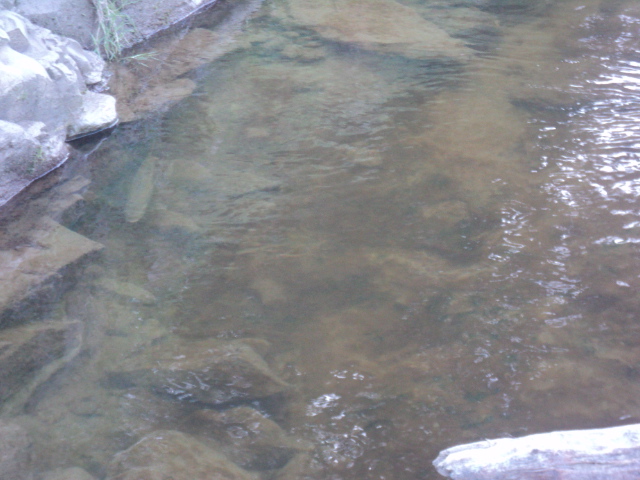 Name:  picture 01 799.jpg
Views: 258
Size:  163.0 KB