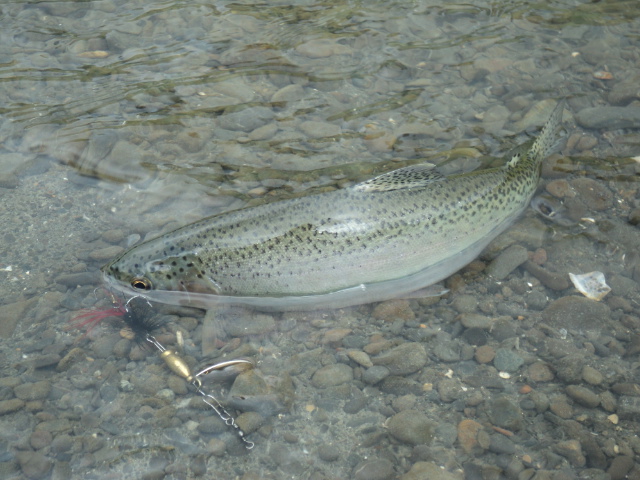 Name:  picture 01 816.jpg
Views: 258
Size:  163.9 KB