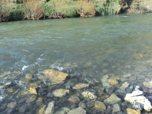 Name:  picture 01 862.jpg
Views: 207
Size:  162.4 KB