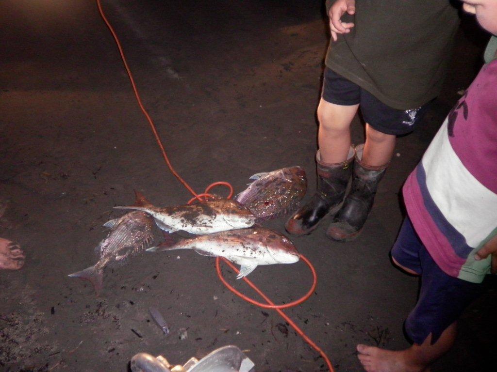 Name:  2012 130.jpg
Views: 1083
Size:  92.4 KB