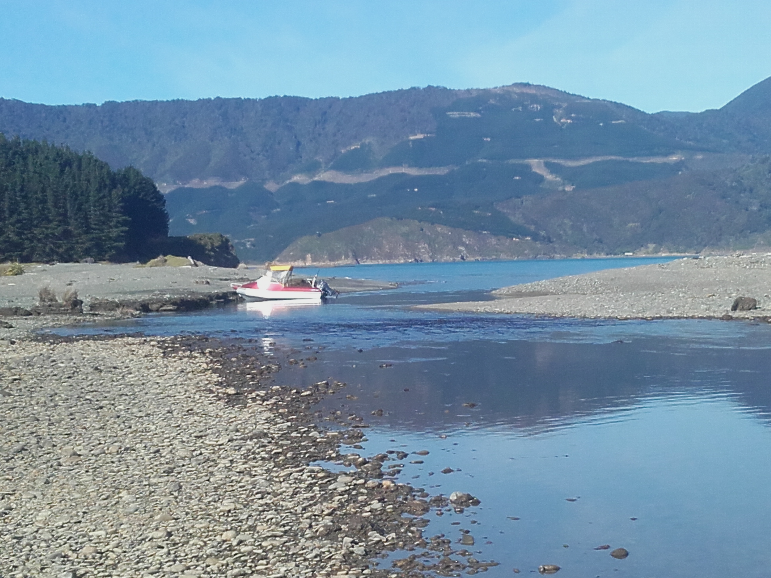 Name:  IMG_1325.JPG
Views: 296
Size:  1.47 MB