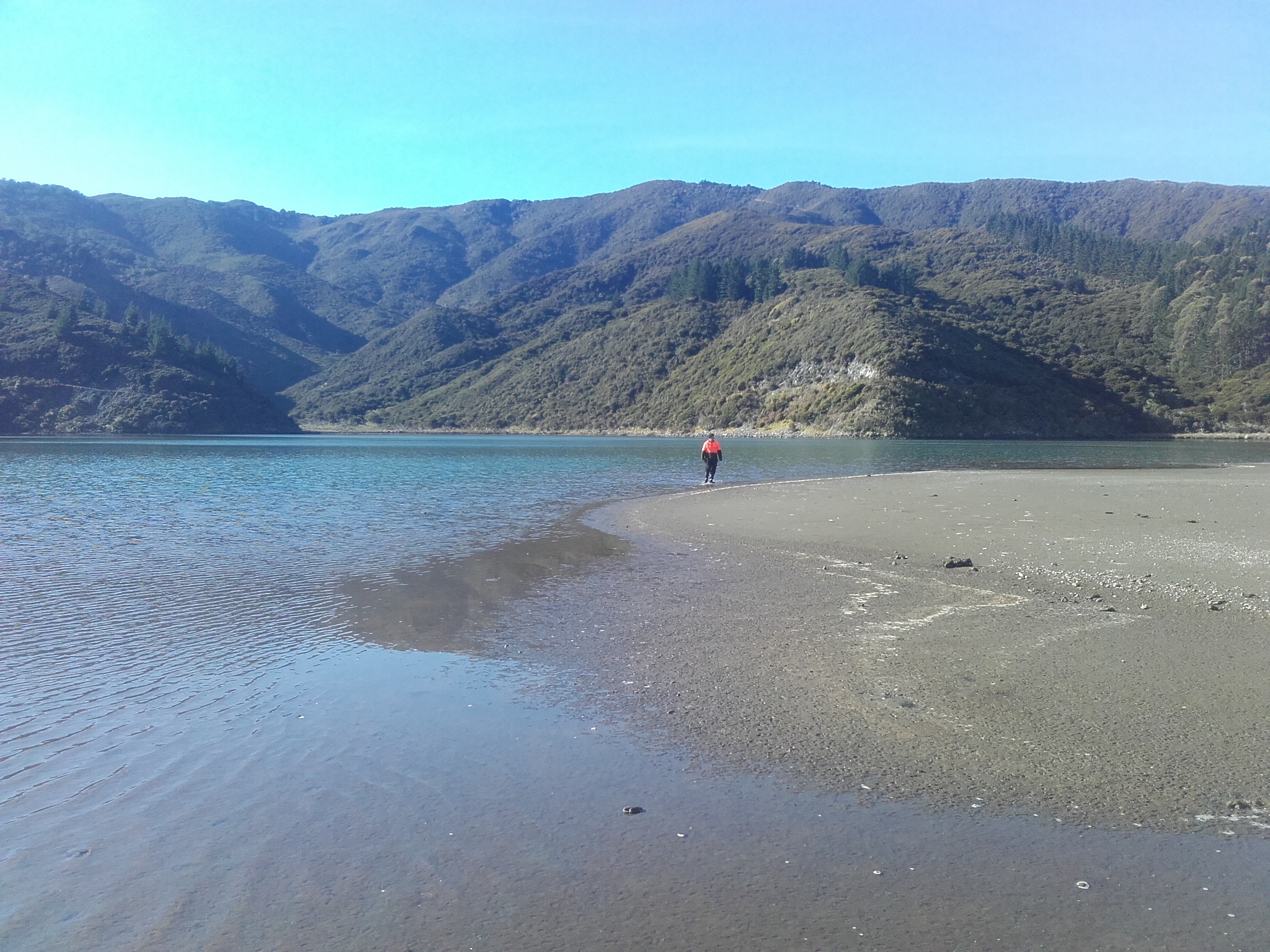 Name:  IMG_1326.JPG
Views: 364
Size:  2.37 MB