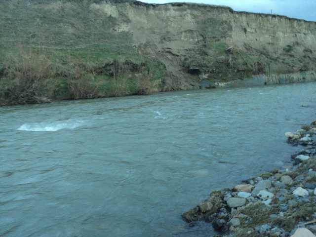 Name:  picture 01 1163.jpg
Views: 263
Size:  164.7 KB