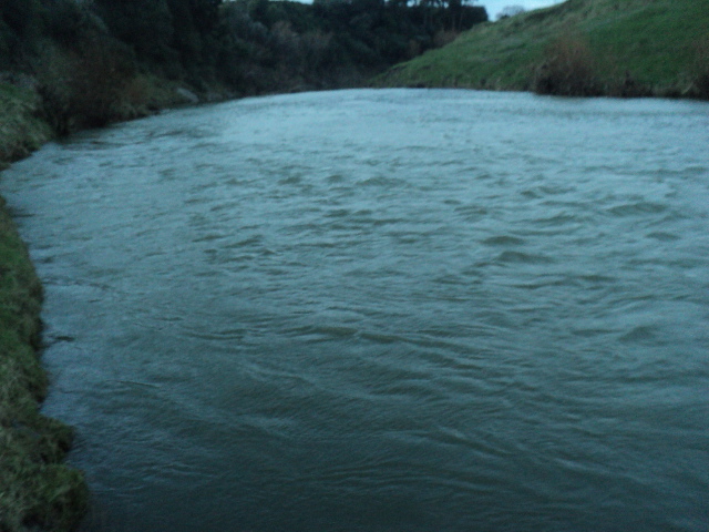 Name:  picture 01 1164.jpg
Views: 295
Size:  162.4 KB