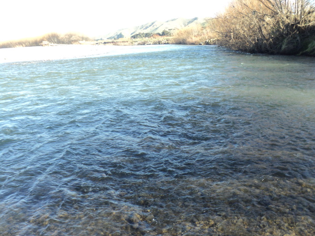 Name:  picture 01 1195.jpg
Views: 333
Size:  163.0 KB