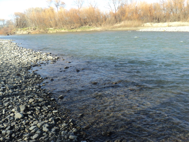 Name:  picture 01 1196.jpg
Views: 304
Size:  163.0 KB