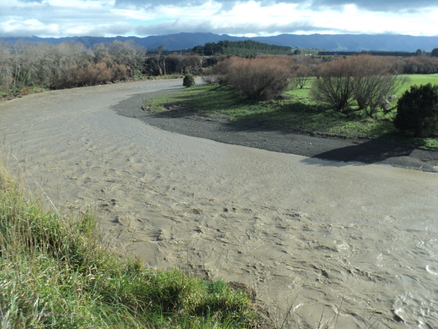 Name:  picture 01 1207.jpg
Views: 240
Size:  164.4 KB