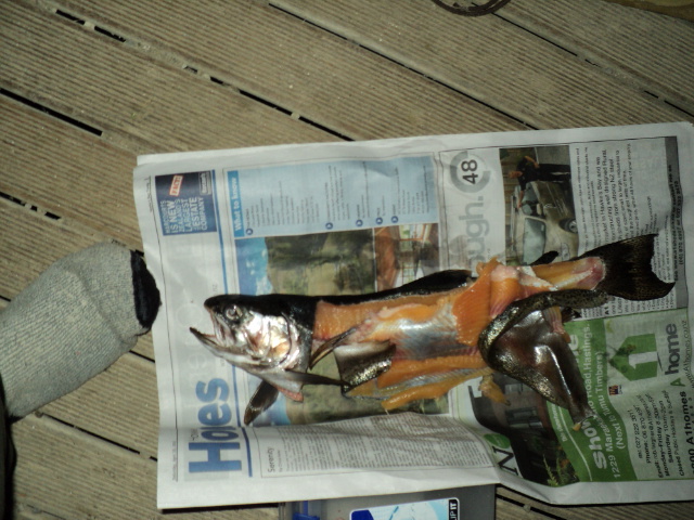 Name:  picture 1608.jpg
Views: 268
Size:  163.3 KB