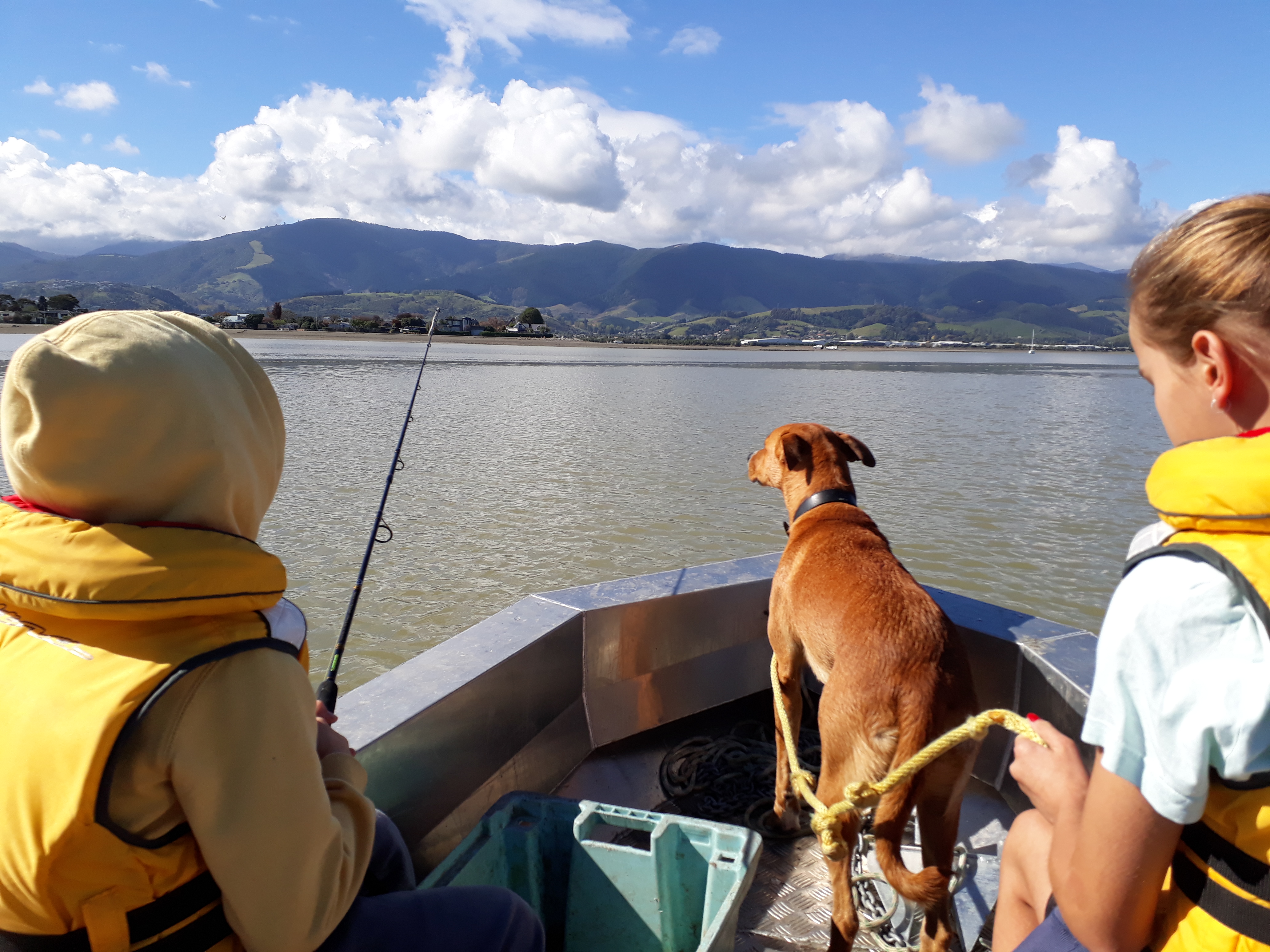 Name:  20180325_112520.jpg
Views: 335
Size:  3.49 MB