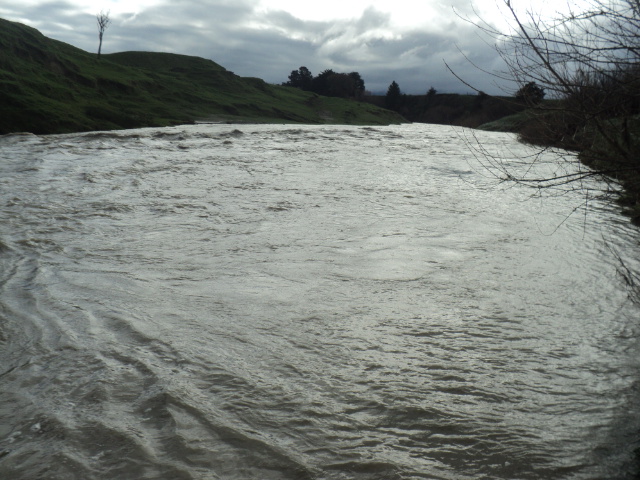 Name:  picture 01 1717.jpg
Views: 139
Size:  165.0 KB