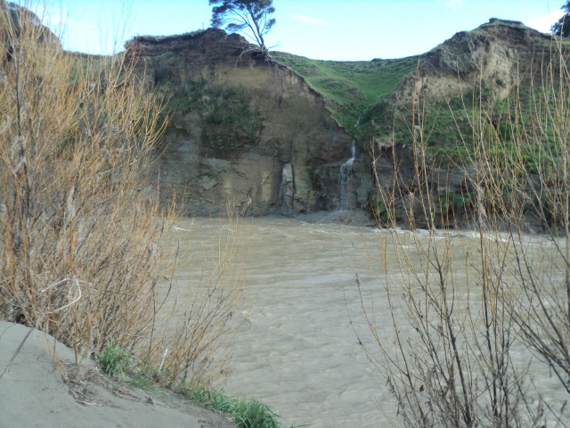 Name:  picture 01 1718.jpg
Views: 139
Size:  163.0 KB