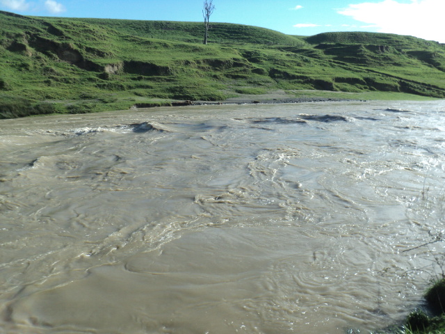 Name:  picture 01 1723.jpg
Views: 152
Size:  164.6 KB