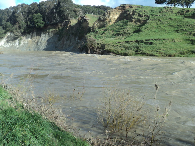 Name:  picture 01 1724.jpg
Views: 142
Size:  163.3 KB