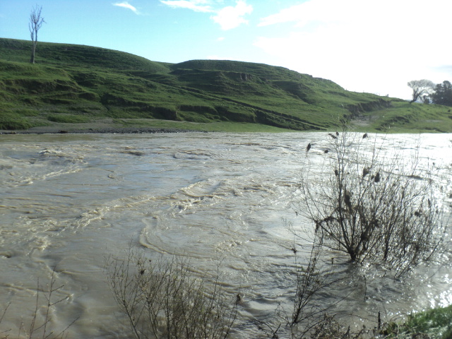 Name:  picture 01 1726.jpg
Views: 135
Size:  164.4 KB