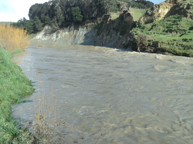 Name:  picture 01 1727.jpg
Views: 135
Size:  164.3 KB