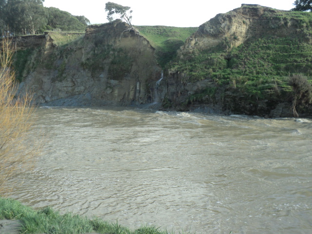 Name:  picture 01 1729.jpg
Views: 133
Size:  164.8 KB